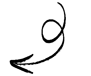 your paragraph text (50)